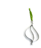 Stainless Steel Ornament